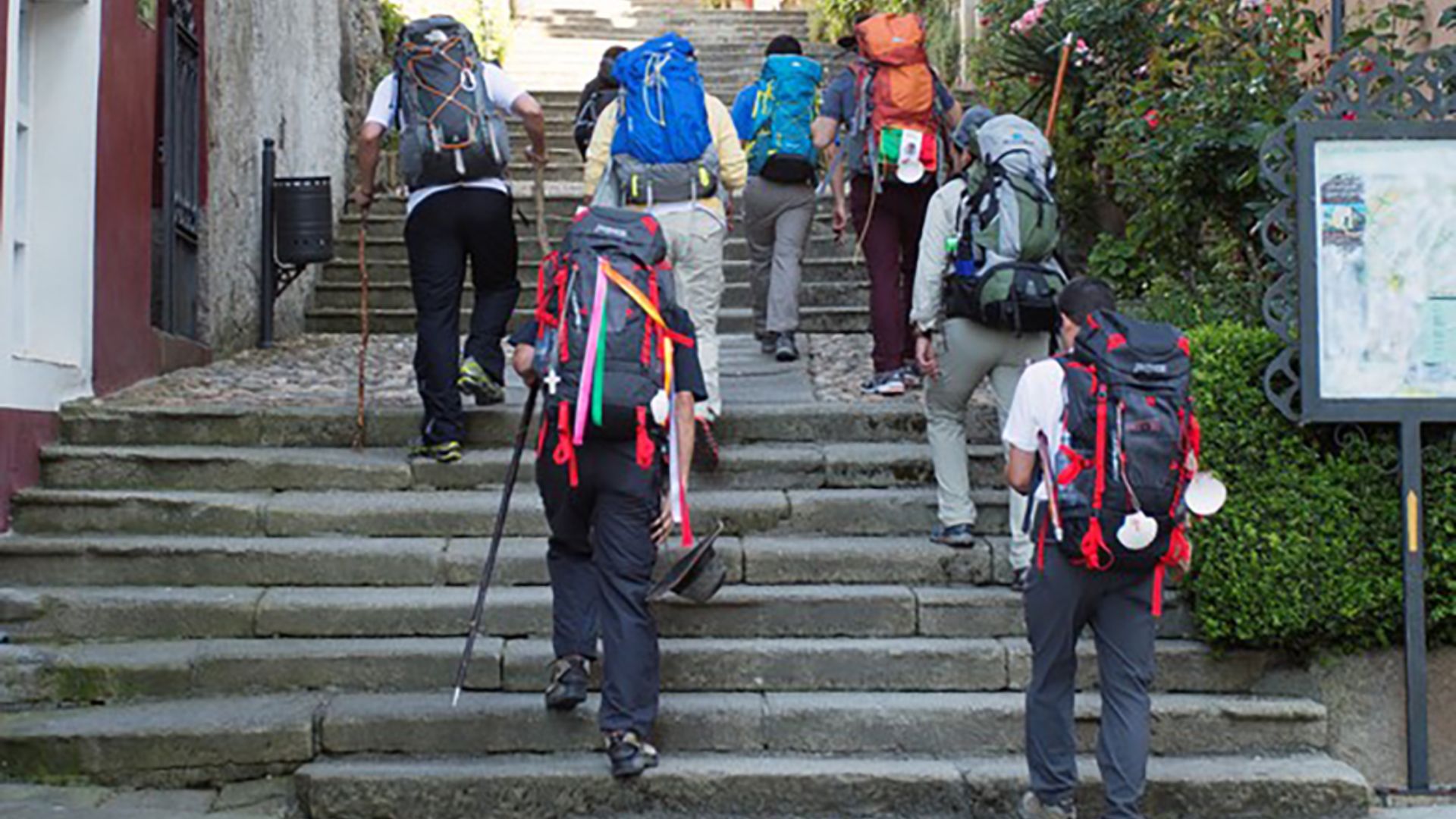 El Camino de santiago frances